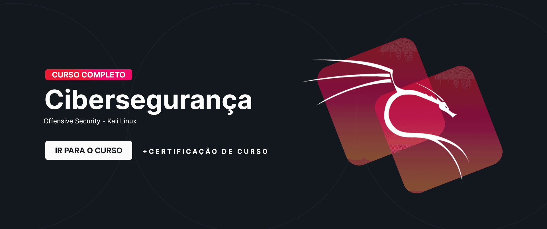 cyberseguranca